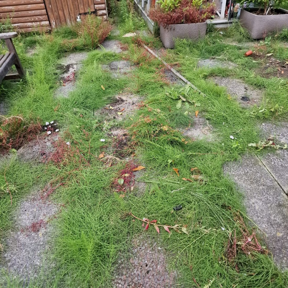 Garden Clearance